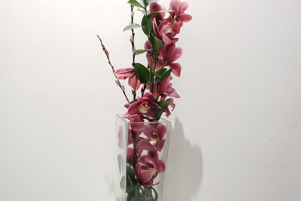 Cymbidium (Mini) Vase
