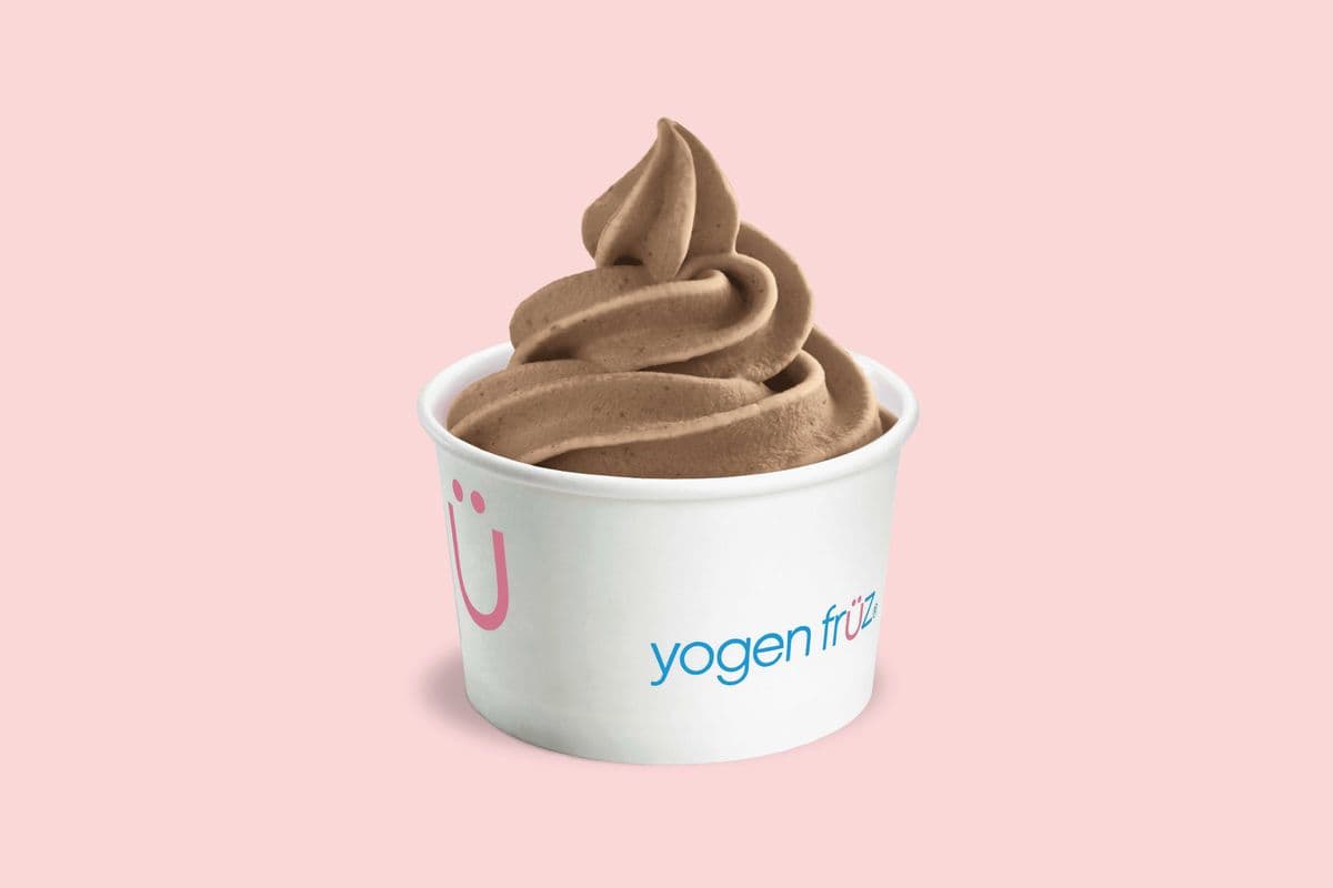 Chocolate Frozen Yogurt