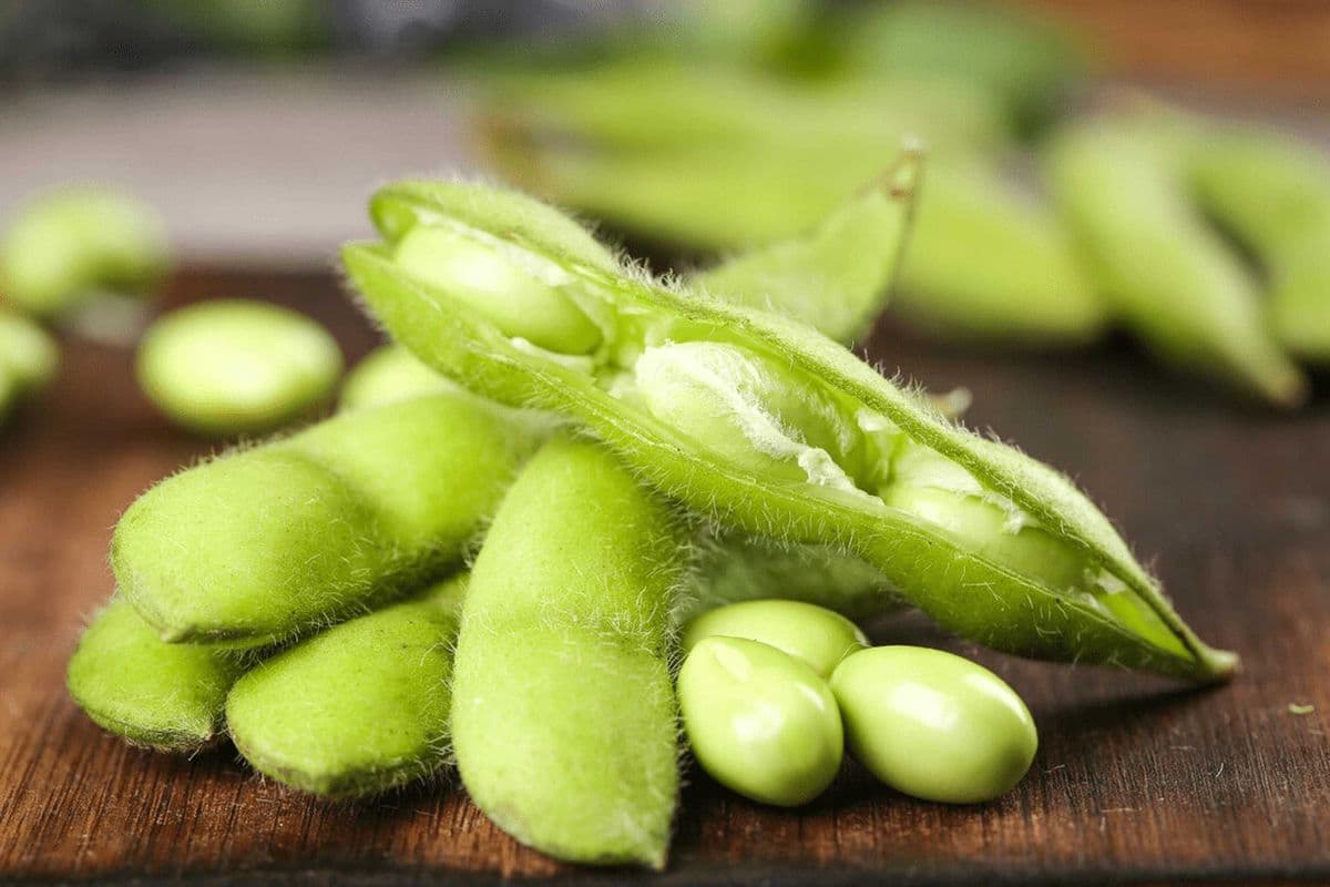 Salty Soy Beans