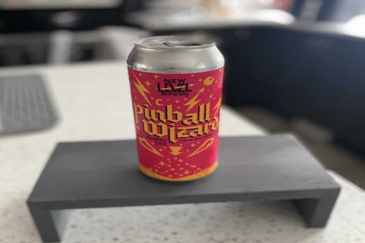 PINBALL WIZARD 4 CANS (4 x 473ML)