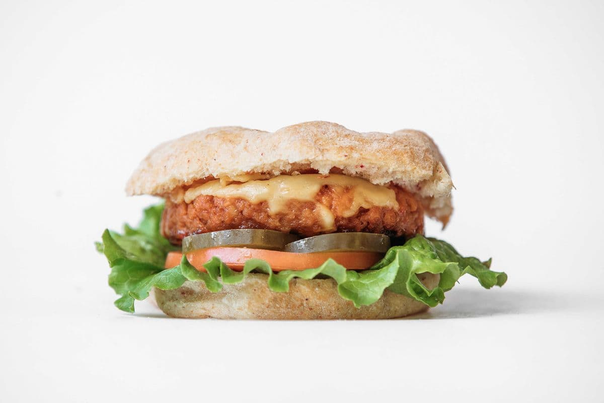 Plant Based Burger