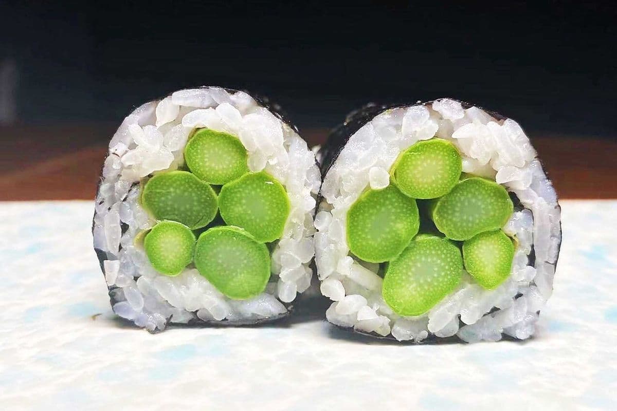 Asparagus Roll (6 pcs)