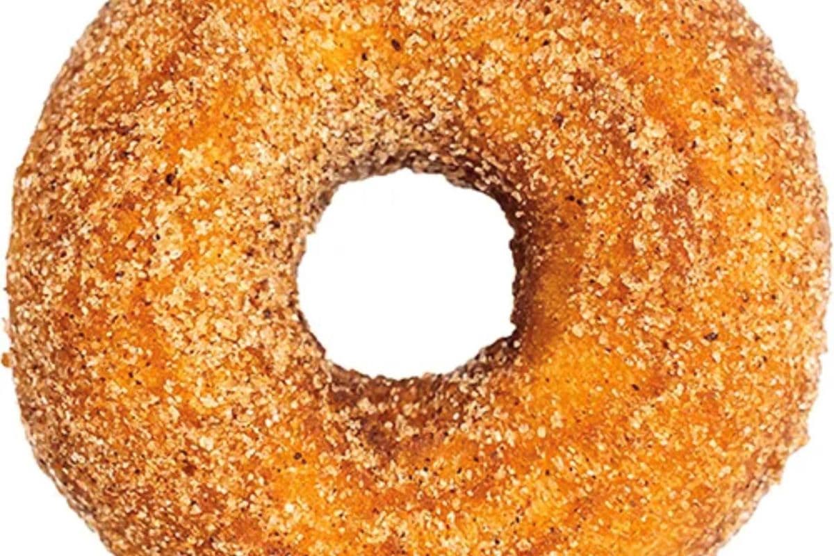 Cinnamon Sugar Donut