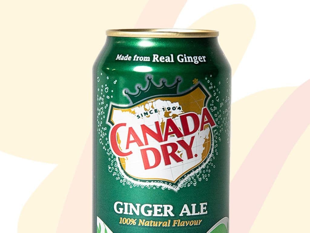 GINGER ALE (355ml)