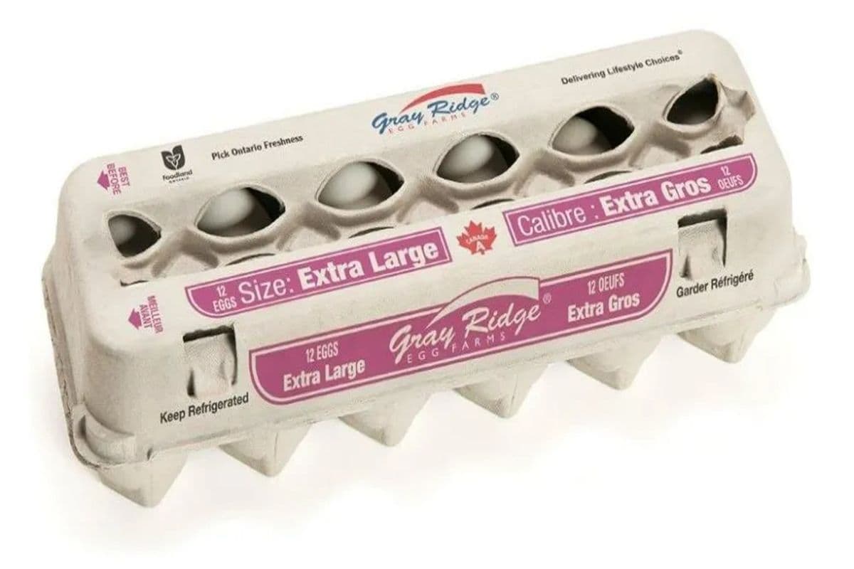 Gray Ridge Eggs X-Large White (12packs) (1000g)