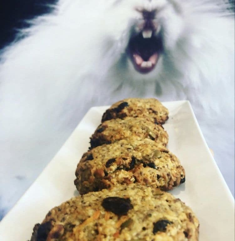 Morning Glory Cookie