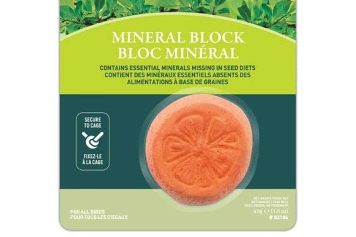 Living World Mineral Block Orange Flavour (41 gr)