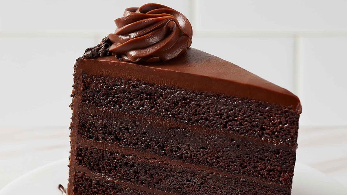 The Cheesecake Factory Bakery Chocolate Fudge Cake