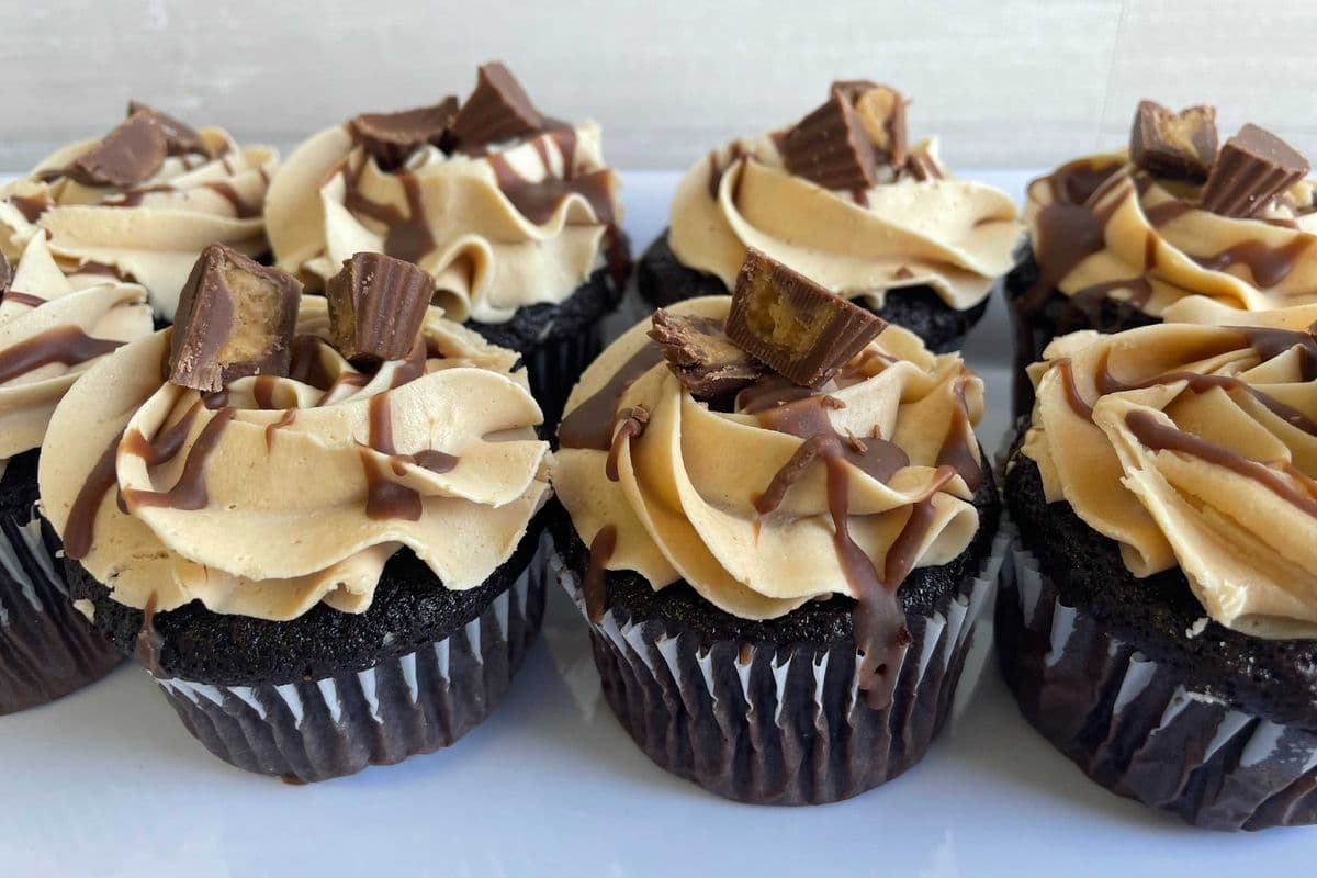 Chocolate Peanut Butter Cupcake