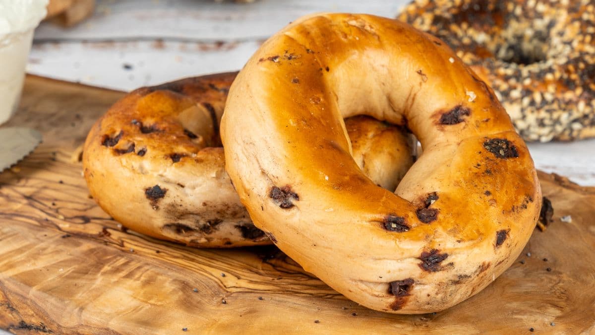 Chocolate Bagel