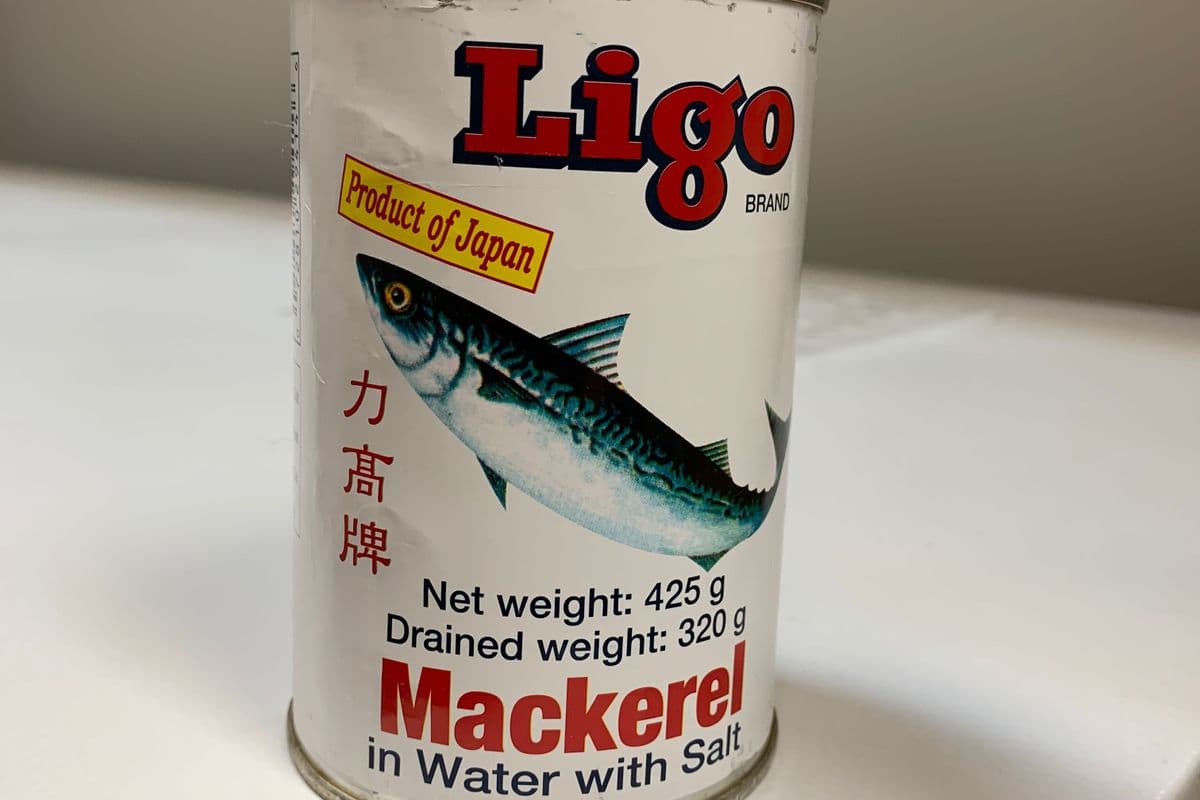 Ligo- Mackerel in water 425