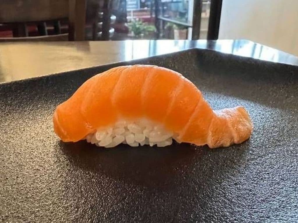 Salmon