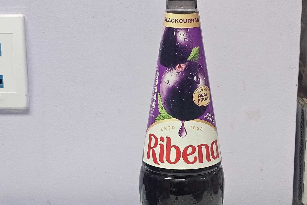 Ribena (850 ml)