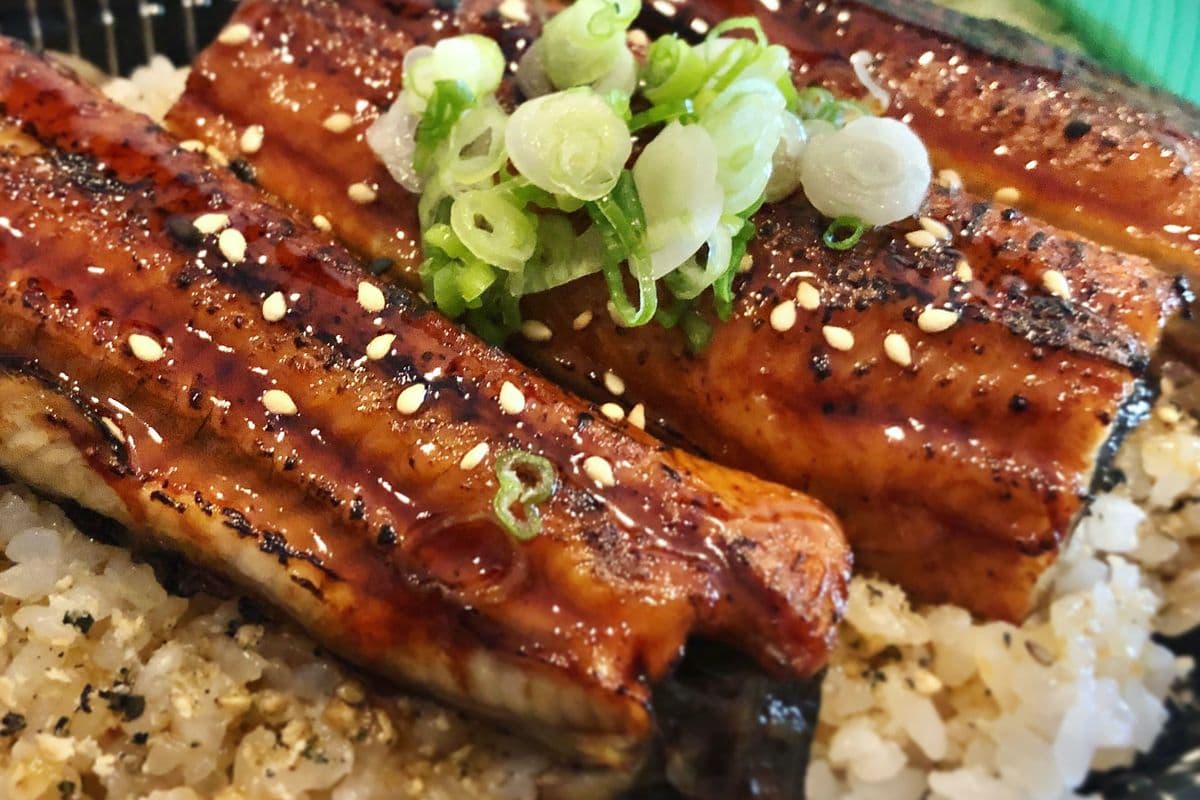 Unagi Don