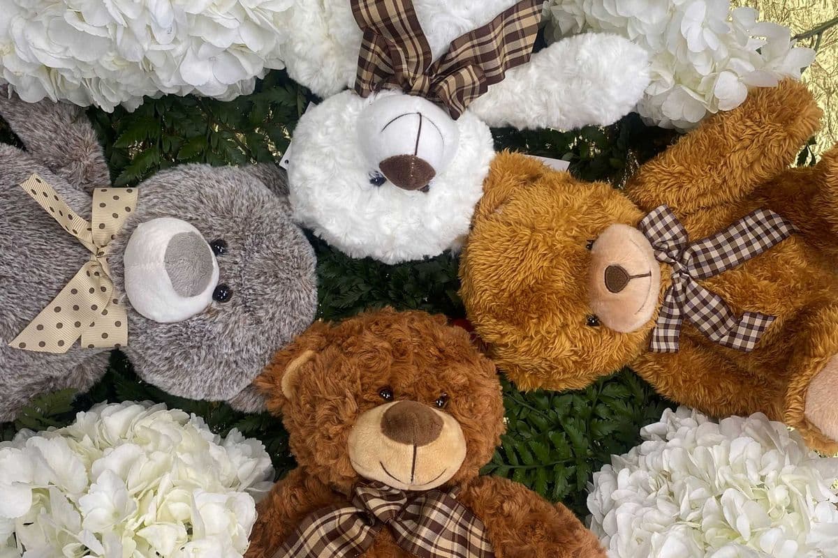 Stuffed Teddy Bear $34.95 (assorted)
