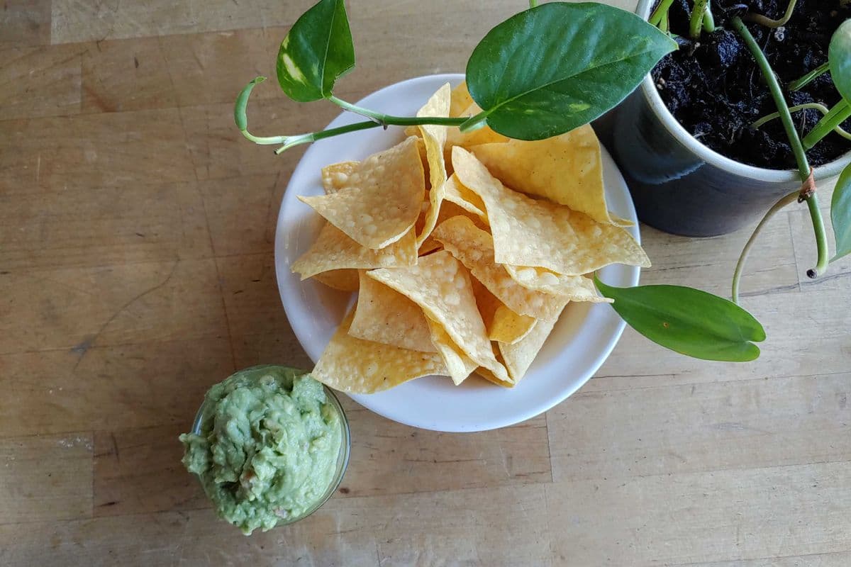 Tortilla Chips and Guacamole