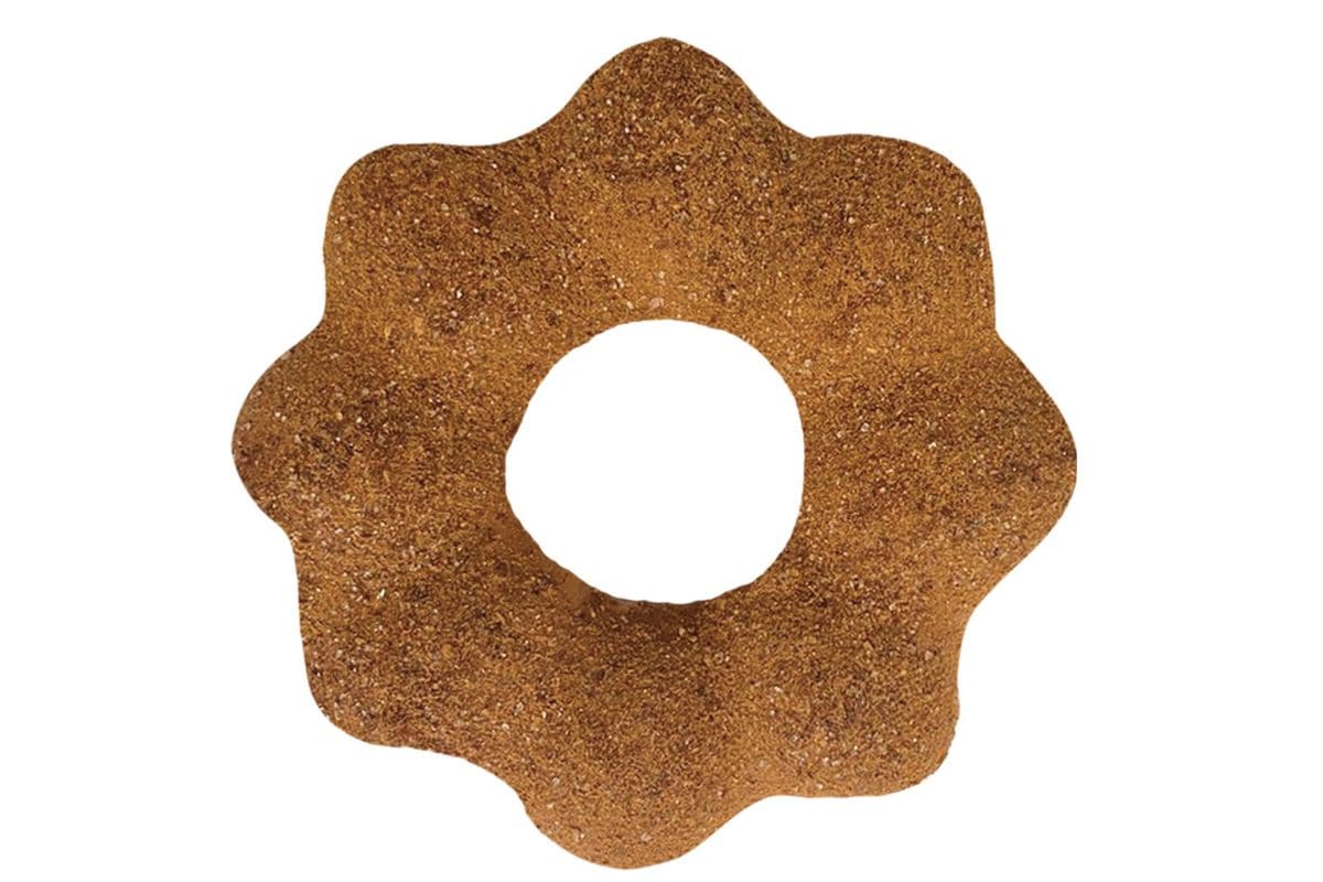 Donut - Cinnamon Sugar