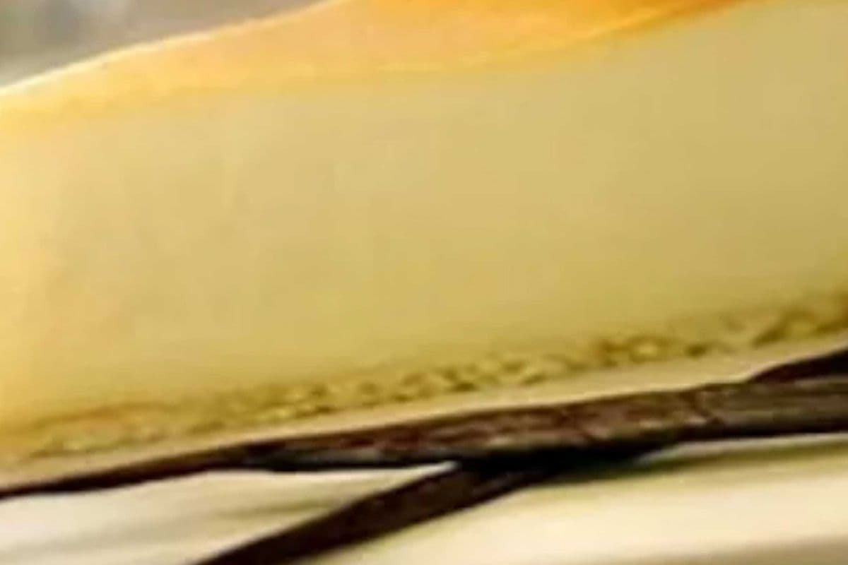 New York Cheesecake