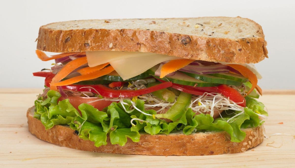 Fresh Vegetable Sandwich