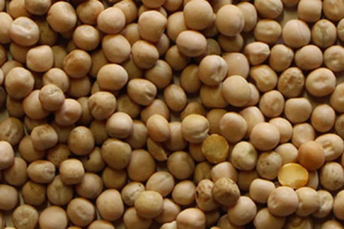 YELLOW PEAS (2 LB)
