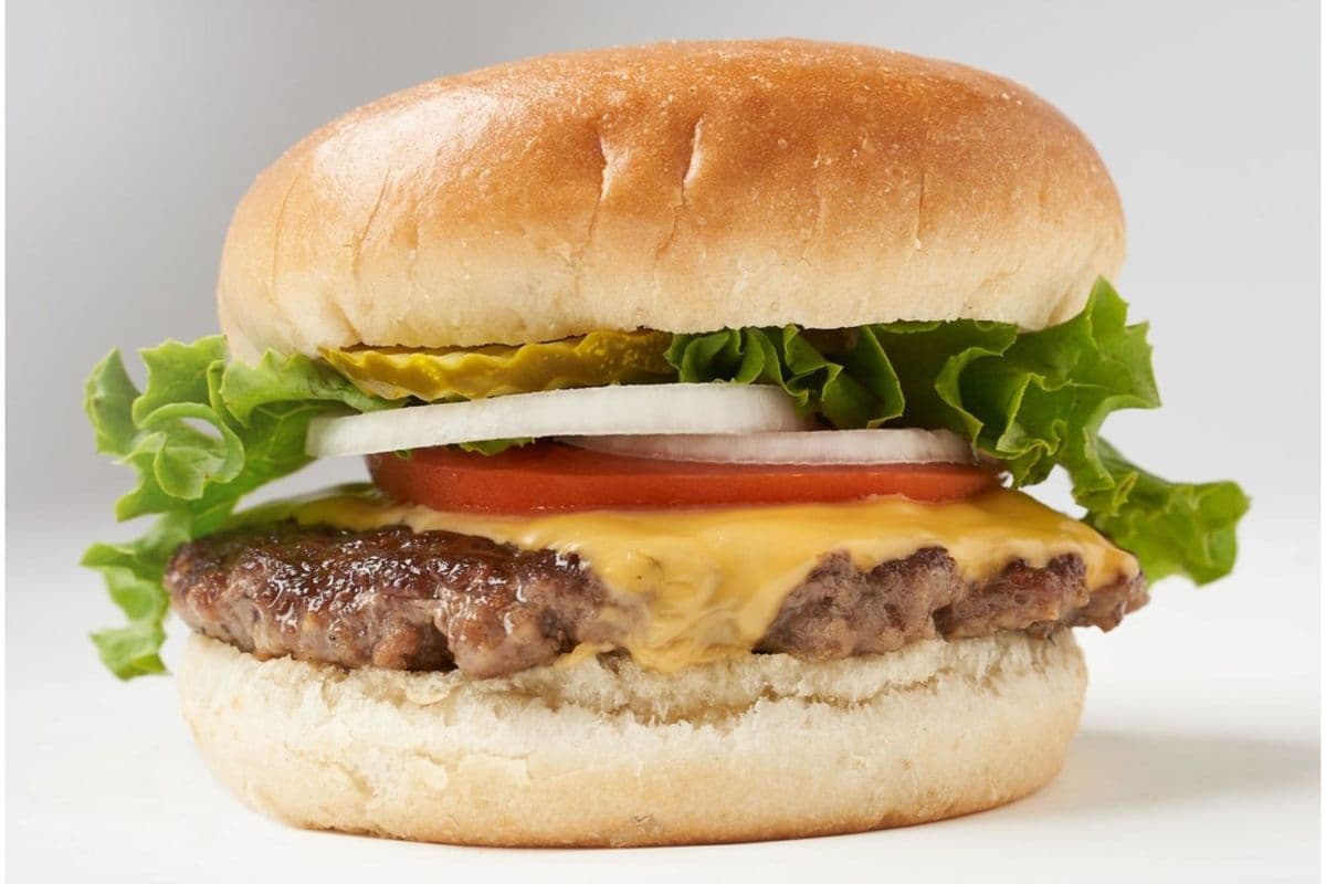 The Classic Cheese Burger (Burger Only)