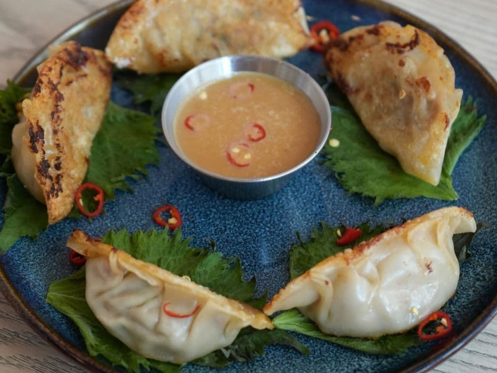 Pork Gyoza