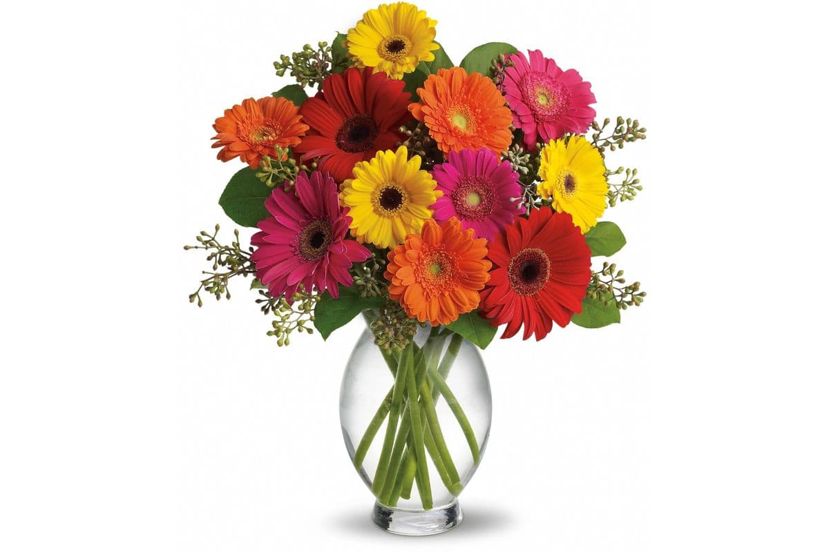 Gerbera Mix Bouquet