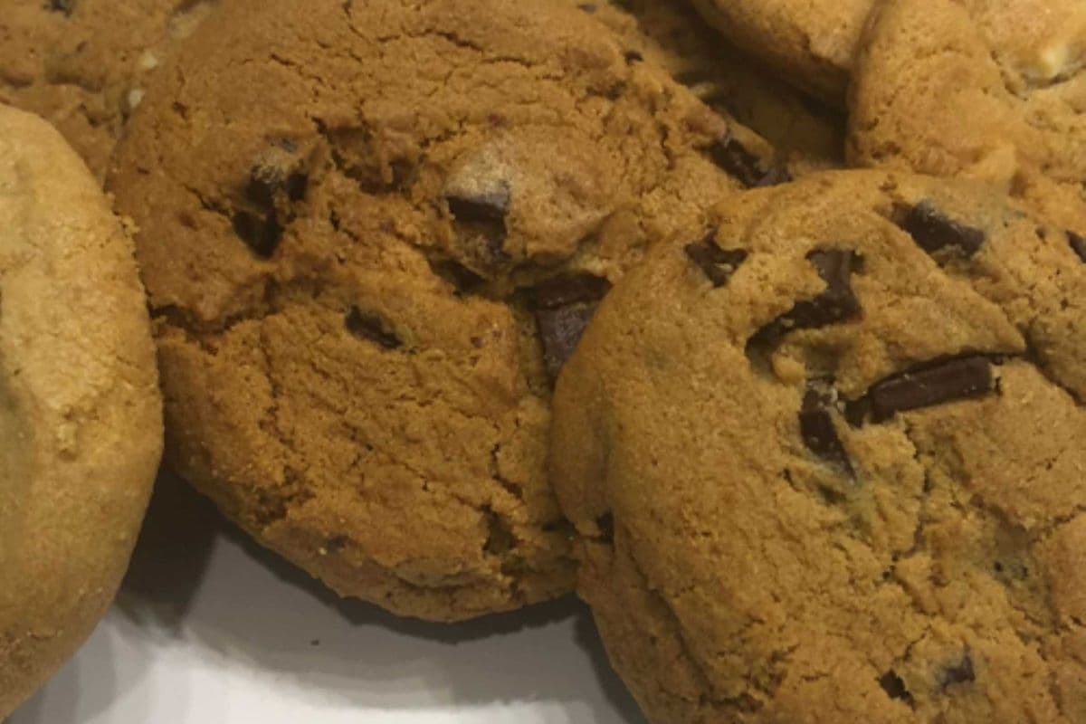 Fresh Baked Cookie (3 Pack Cookies)
