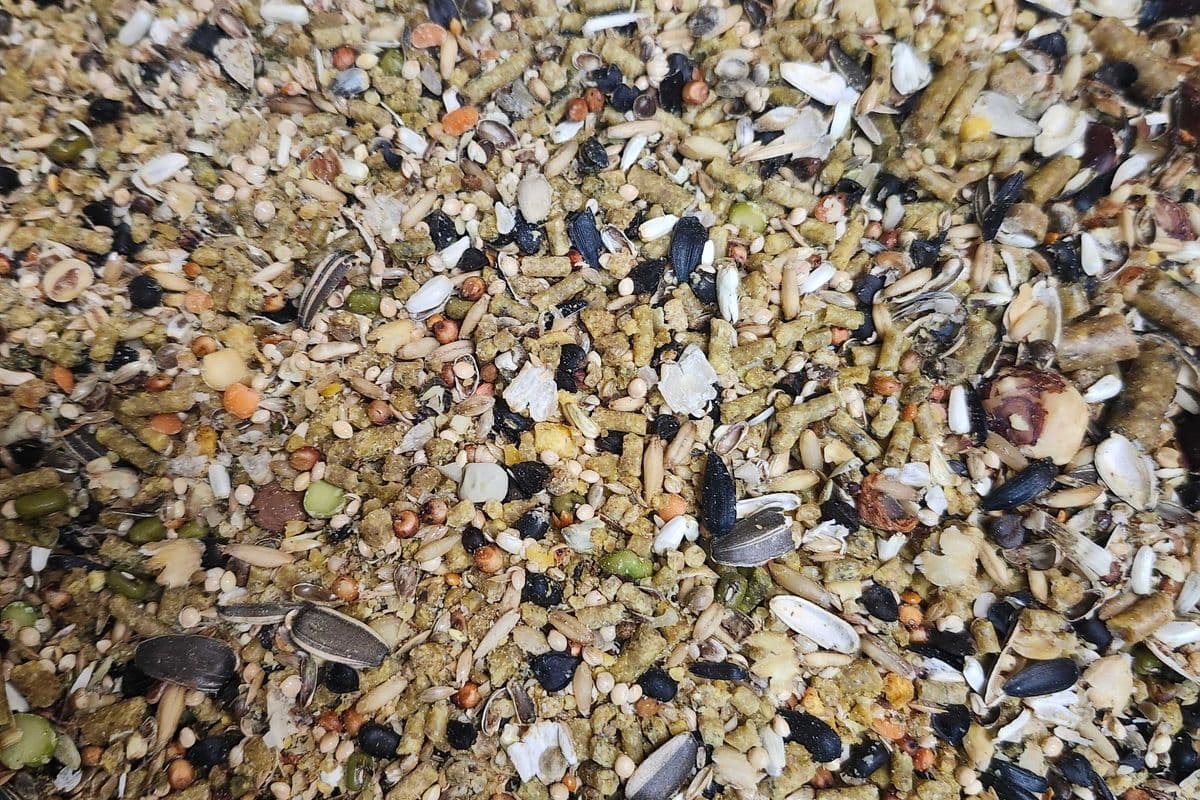 Scrappy Wild Bird Mix (5 lb)