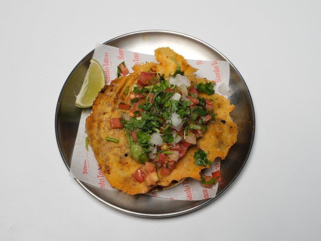 Vampiro de Lengua