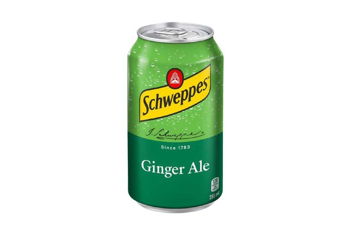 Ginger Ale Can (355 mL) (355 mL)