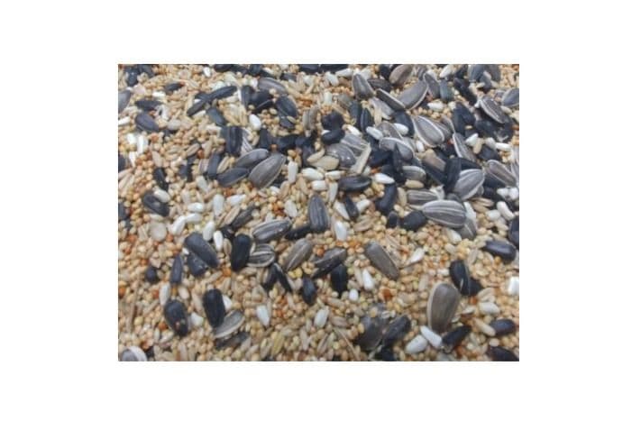 Baker's Cockatiel Seed (10 lb)