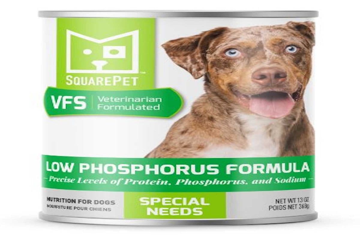 Square Pet VFS Cans Canine Low Phosphorus Formula (13oz)
