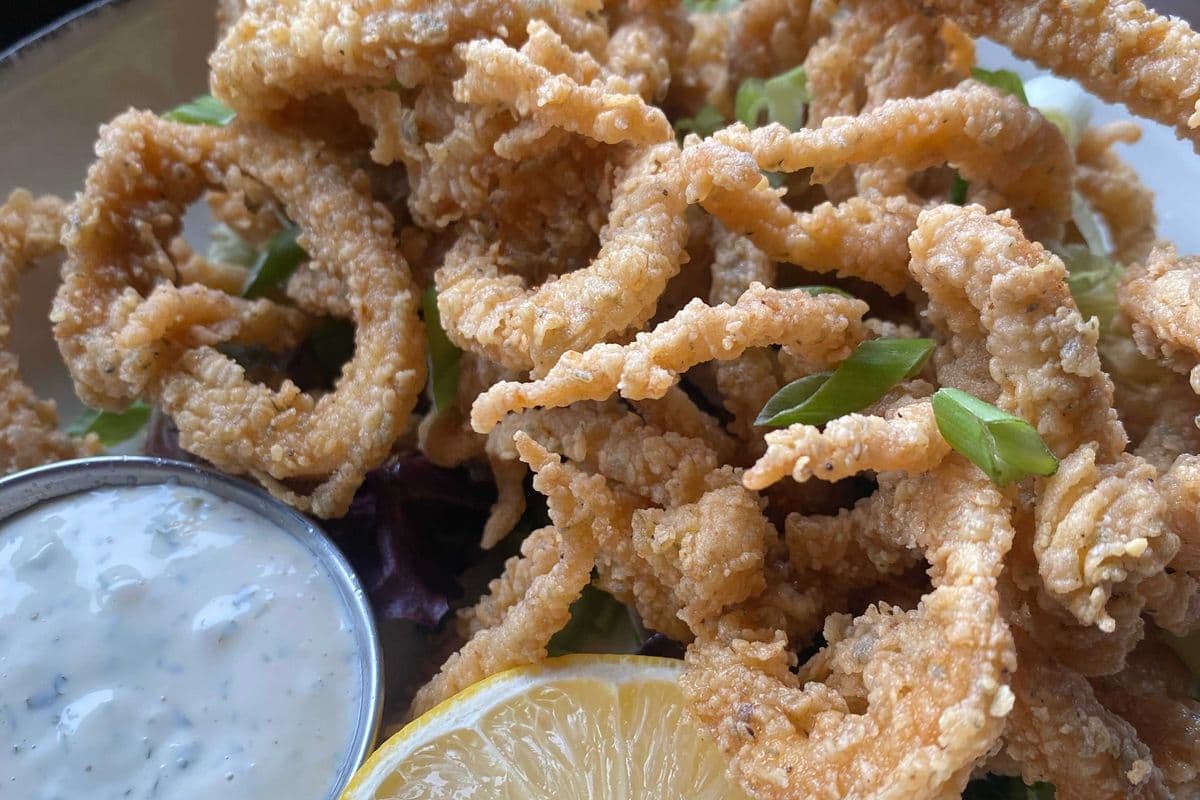 Fried Calamari