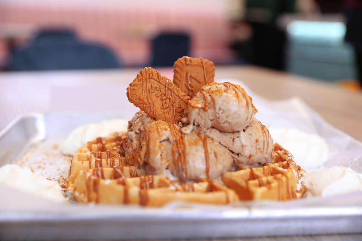 Lotus Gelato Waffle