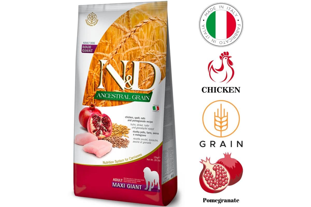 Farmina - Ancestral Grain Chicken & Pomegranate Giant Dog Dry Dog Food (26.4 lbs)
