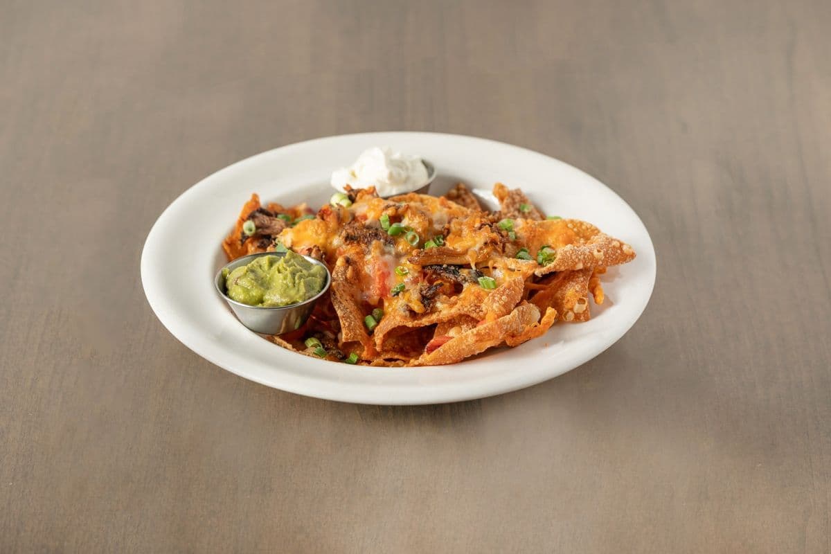 Wonton Nachos