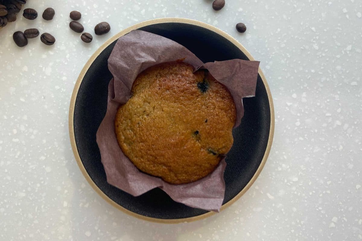 Blueberry Gluten Friendly Muffin