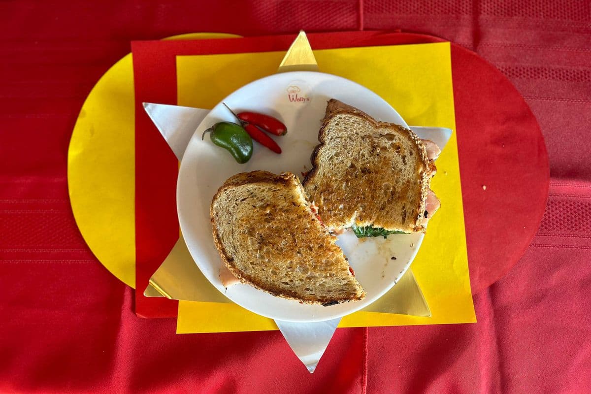 Paninis Oxygene (veggy)