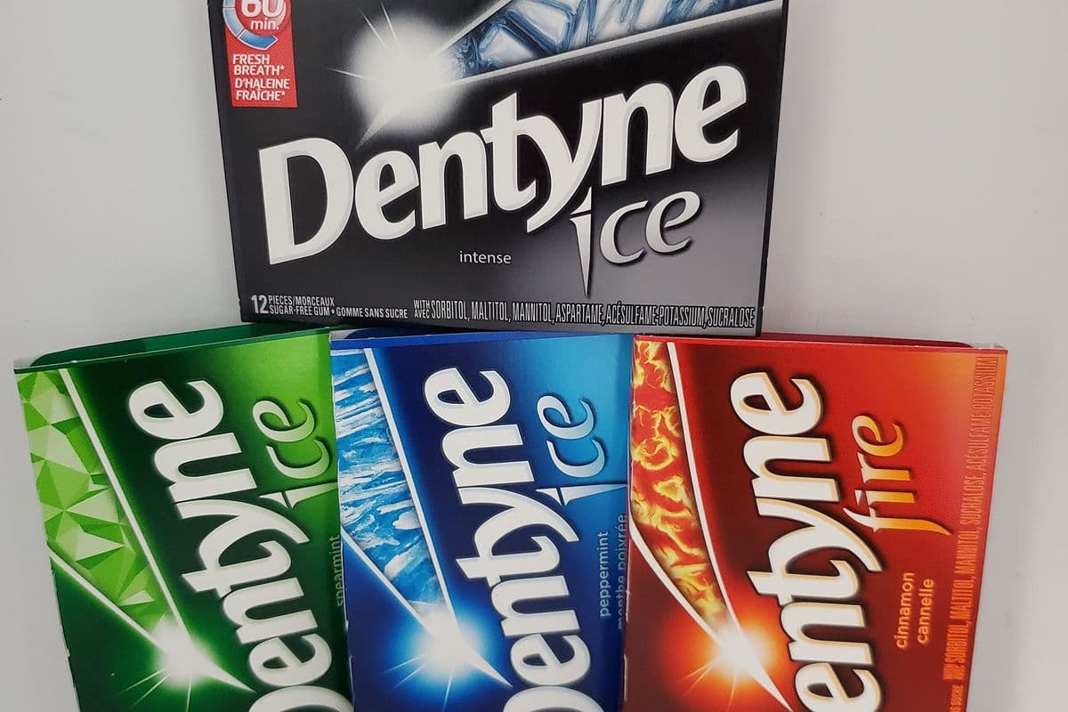 Dentyne Gums (12 pcs)