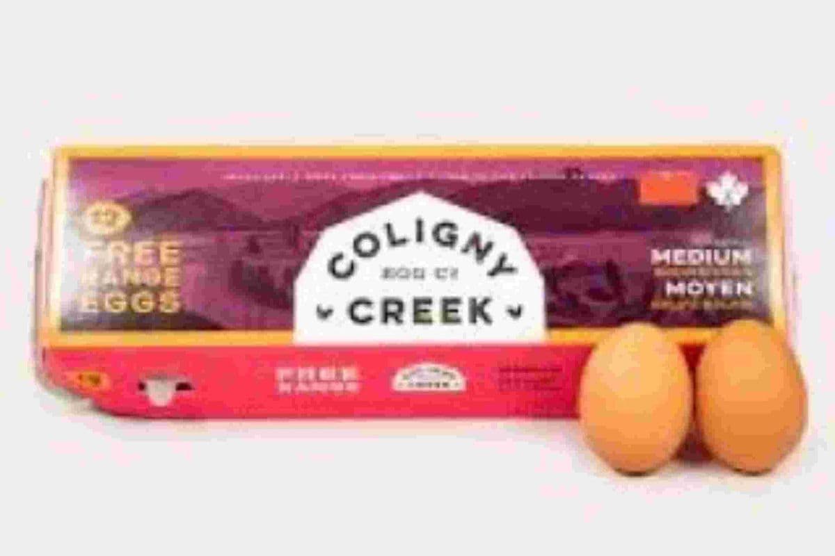 Eggs- Free-Range