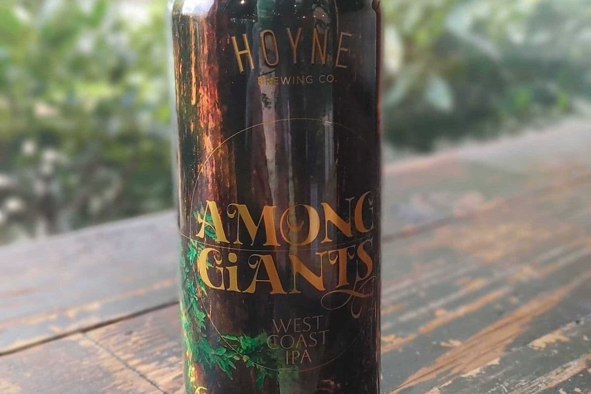 Hoyne West Coast IPA (1 x 473 ml)