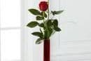 2 Red Roses with Baby's Breath
