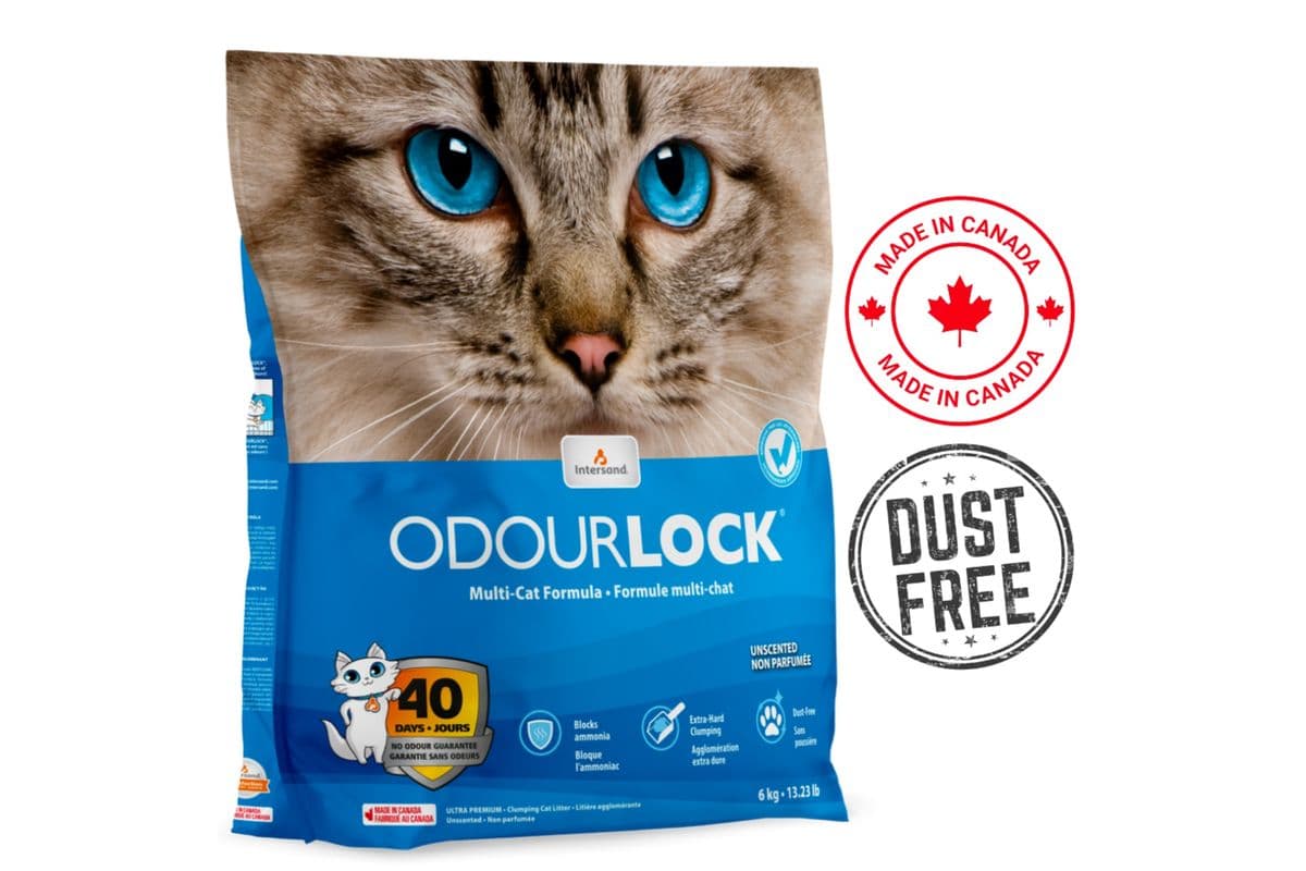 OdourLock - Ultra Premium Unscented Clumping Cat Litter (6 kg)