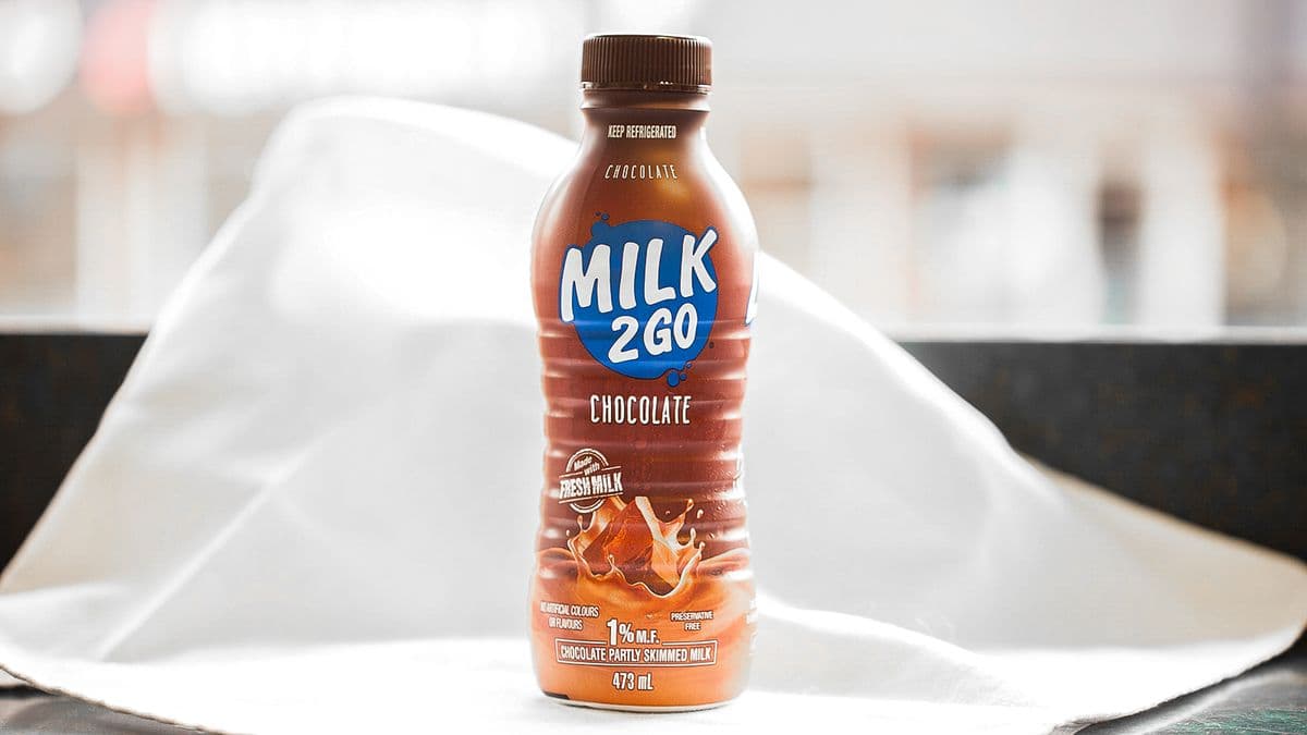 Chocolate Milk (473 ml)