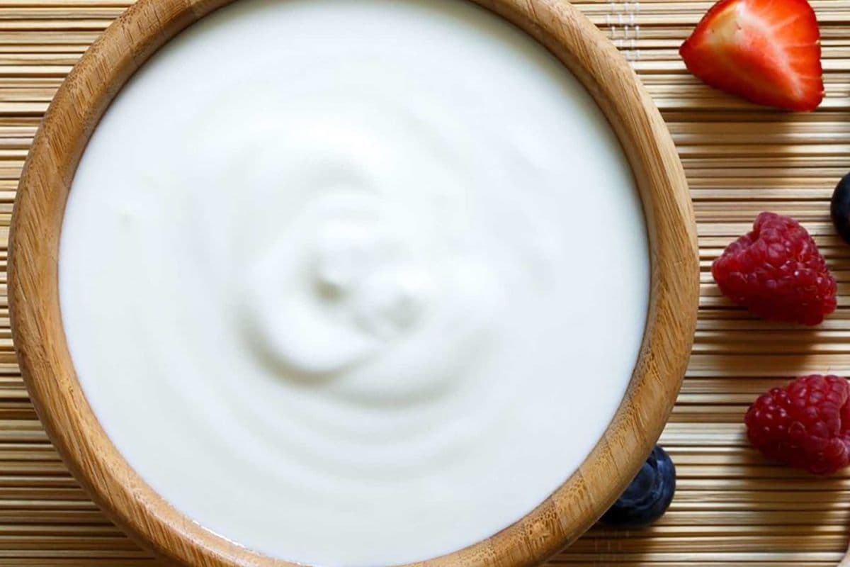 Yoglo Signature Original Yogurt 原味酸奶
