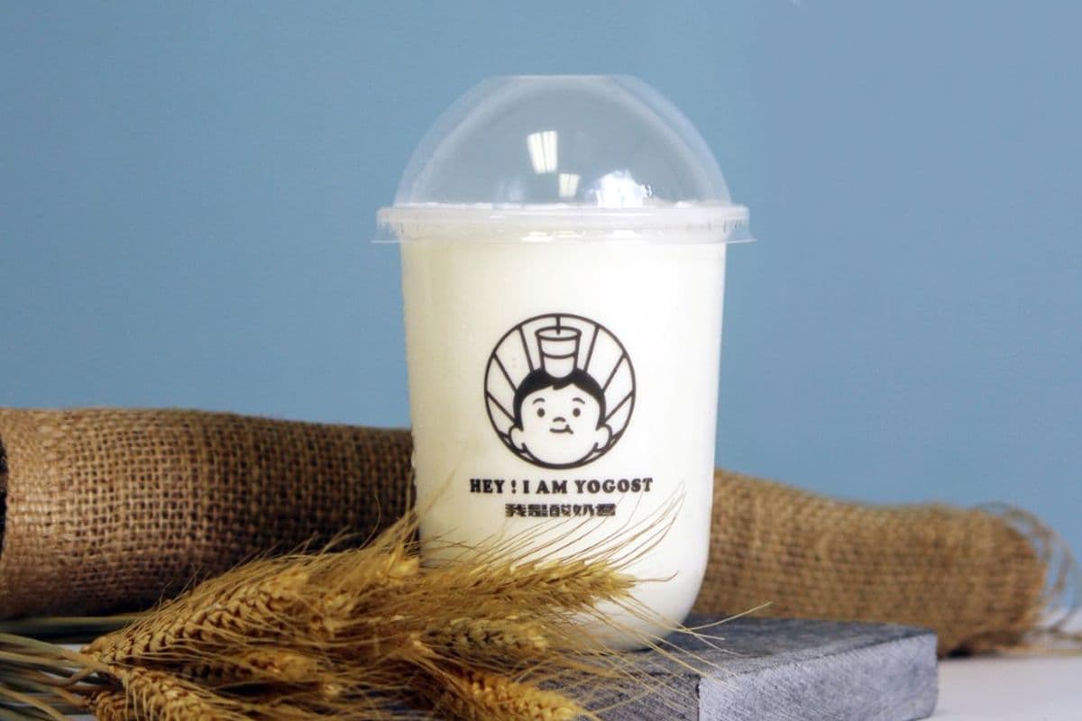 Original YOGOST Yogurt 我是酸奶君