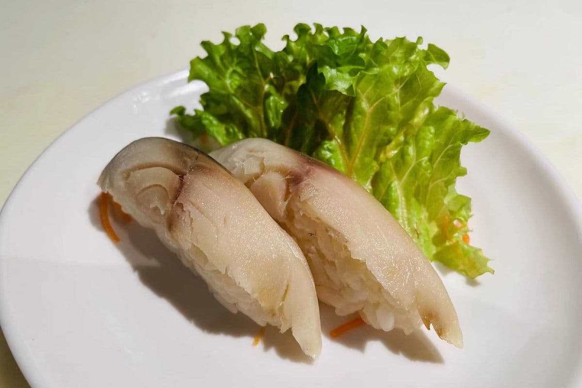 B25 Maquereau / Mackerel