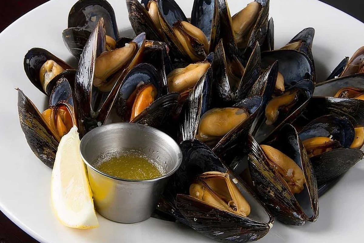 Mussels