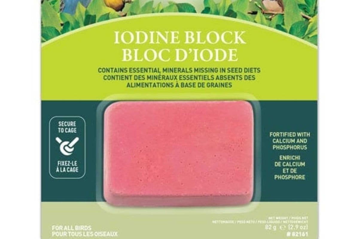 Living World Iodine Block (19 gr)